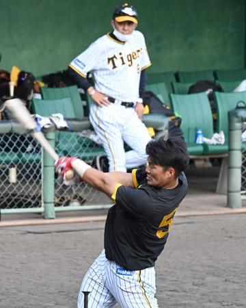 　岡田監督（奥）が見守る中、打撃練習する前川