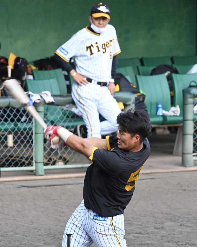 　岡田監督（奥）が見守る中、打撃練習する前川