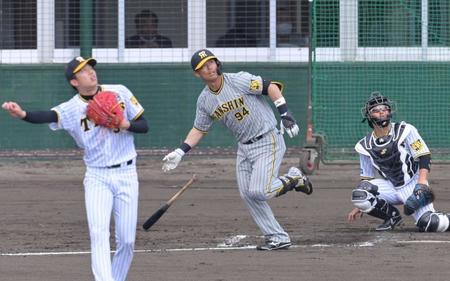 　２回、左翼スタンドへ本塁打を放つ原口。投手・才木（撮影・立川洋一郎）
