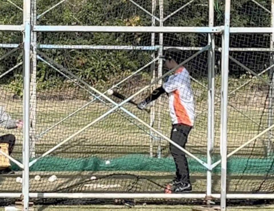 　沖永良部島の自主トレでオリジナルのトス打撃を行っていた近本（筆者撮影）