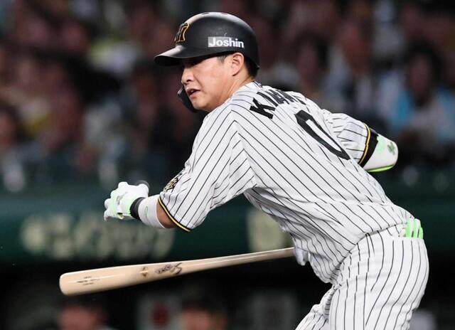 甲子園と仲良くなりたい/吉田風取材ノート/阪神タイガース/デイリー