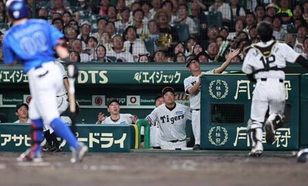 　４回、林（手前左）の飛球を追う坂本（手前右）を心配そうに見る藤川監督（奥左）