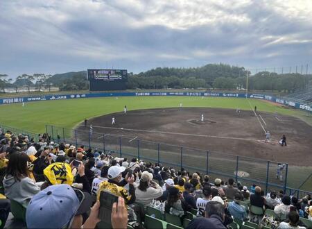 　春野で西純矢が代打で登場すると、スタンドからは大歓声が…（撮影は筆者）