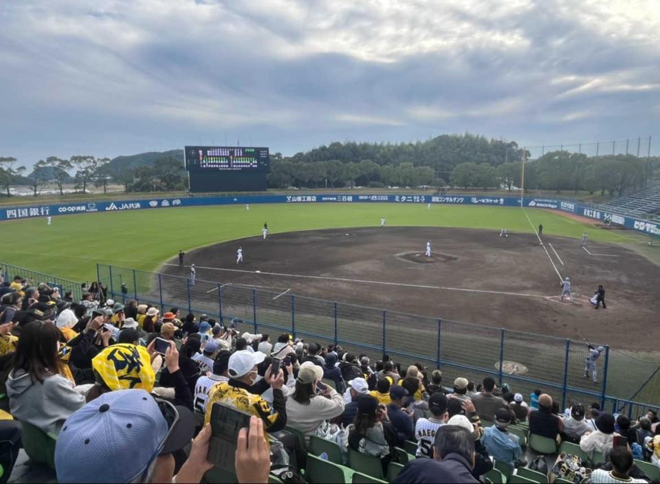 　春野で西純矢が代打で登場すると、スタンドからは大歓声が…（撮影は筆者）