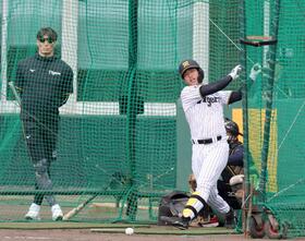 　糸井ＳＡ（左）が見つめる中、打撃練習する百崎＝３日