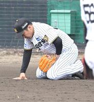 　バックアップに走った後、その場に座り込む石井（撮影・飯室逸平）