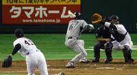 　０８年５月７日、３回に頭部に死球を受ける金本。投手木佐貫