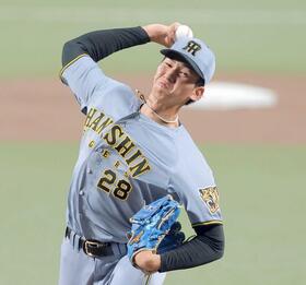 　力強く投げ込む今朝丸（撮影・西田忠信）