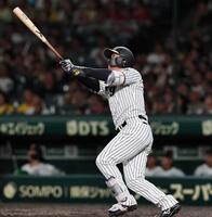 坪井智哉が見てきたもの/吉田風取材ノート/阪神タイガース/デイリー