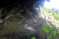　数百万匹のコウモリが巣くう洞窟