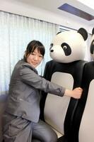 　印象度抜群の３８１系「くろしお」のパンダシート
