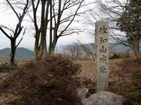 　佐和山城跡