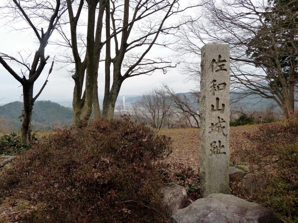 　佐和山城跡