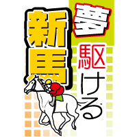 夢駆ける新馬