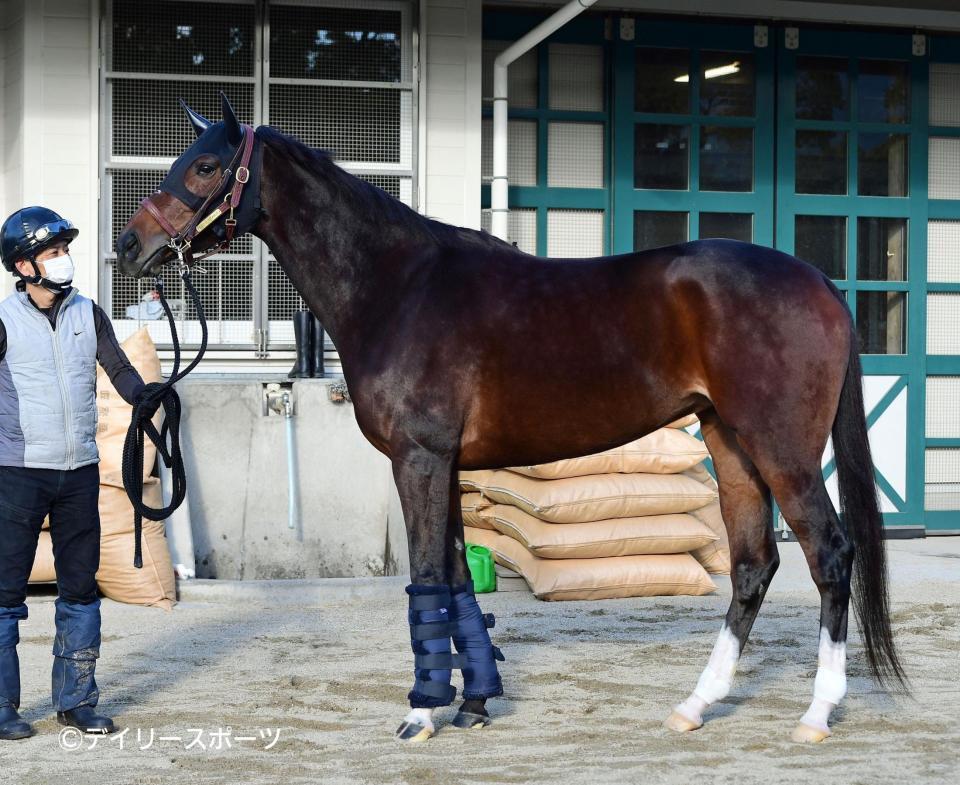 ジェラルディーナ　評価Ｂ