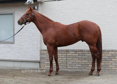 レモンポップ　評価Ａ