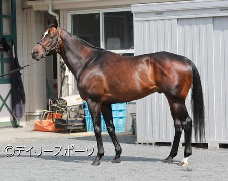 トゥラヴェスーラ　評価Ｂ