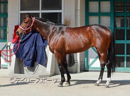 ヴェントヴォーチェ　評価Ｂ