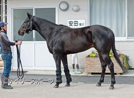 アグリ　評価Ａ