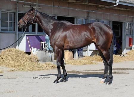 スターズオンアース　評価Ａ