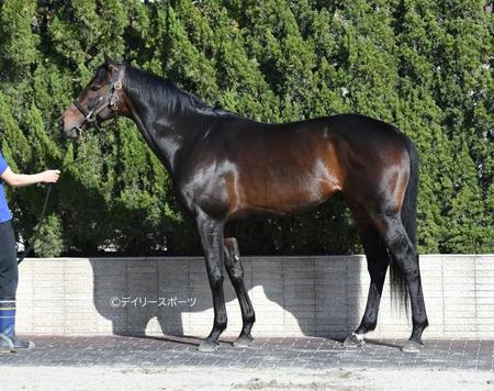 ヴェルトライゼンデ　評価Ａ