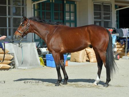 ヒンドゥタイムズ　評価Ｂ