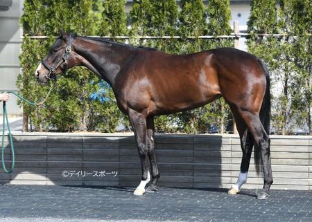 ムーンプローブ　評価Ｂ