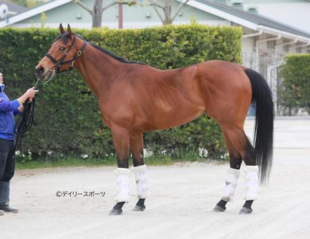 ダノンタッチダウン　評価Ｂ