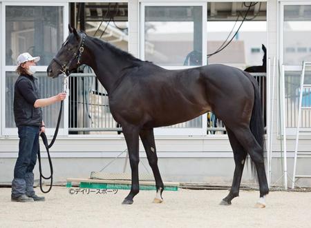 トップナイフ　評価Ａ