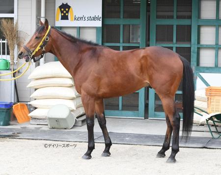 ワンダイレクト　評価Ｃ