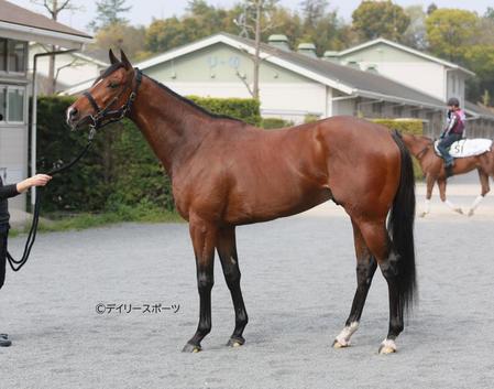 シャザーン　評価Ｃ