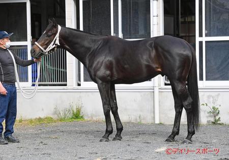 ディープボンド　評価Ｂ