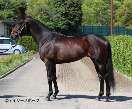 エエヤン　評価Ｂ