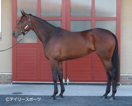 ウンブライル　評価Ｃ