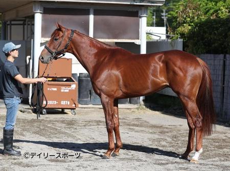 シャンパンカラー　評価Ｃ