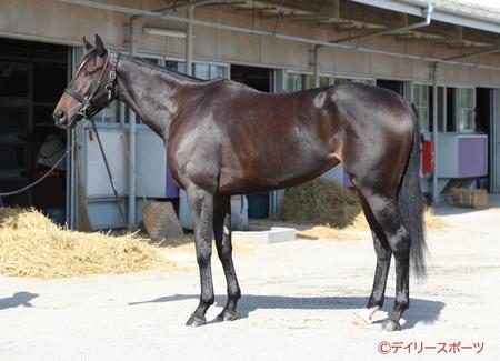 スターズオンアース　評価Ａ