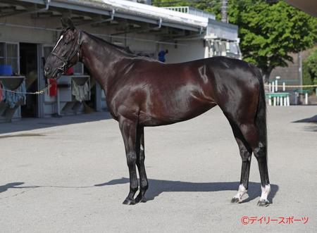 ソングライン　評価Ｂ