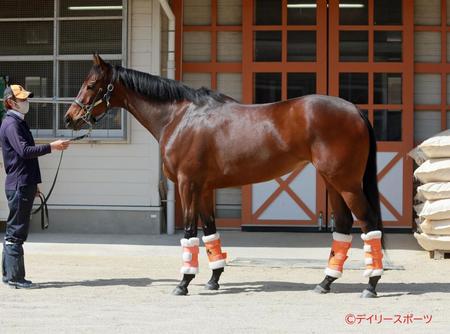 スタニングローズ　評価Ｂ