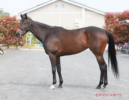 サウンドビバーチェ　評価Ｂ