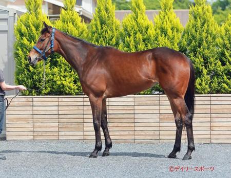 メイケイエール　評価Ｂ