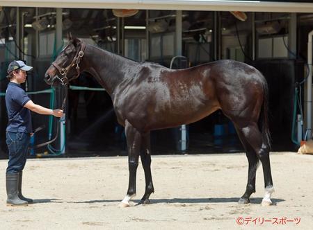 ララクリスティーヌ　評価Ｂ