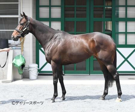 ロータスランド　評価Ｂ