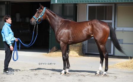 エミュー　評価Ｃ