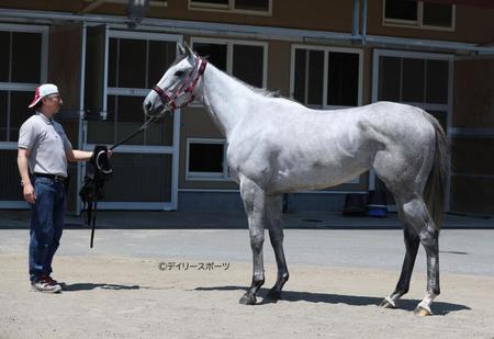 ゴールデンハインド　評価Ｂ