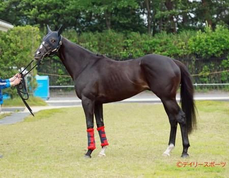 フリームファクシ　評価Ｂ