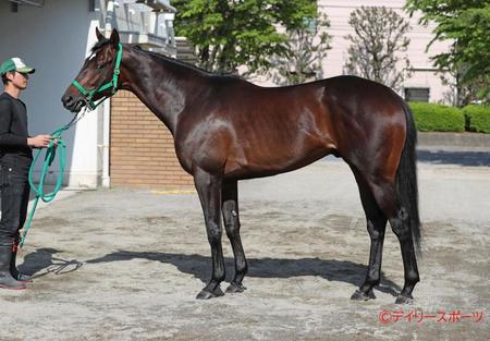 メタルスピード　評価Ｃ