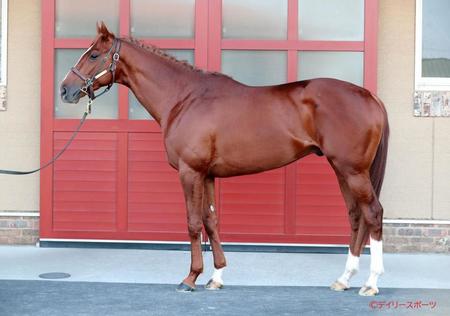 ノッキングポイント　評価Ｃ