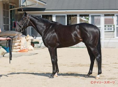 トップナイフ　評価Ｃ