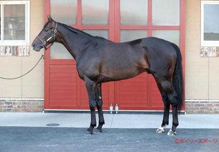 スキルヴィング　評価Ｂ