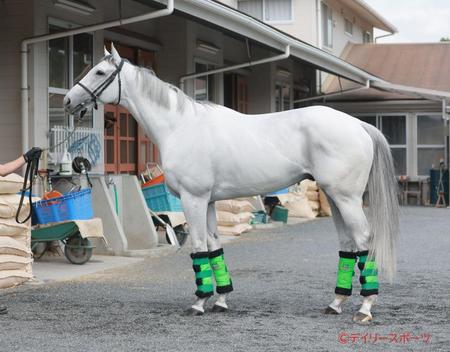 ガイアフォース　評価Ｂ